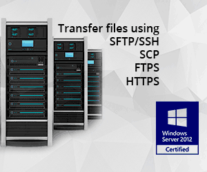 Sysax file transfer using SSFTP,SSH,SCP,FTPS,HTTPS image